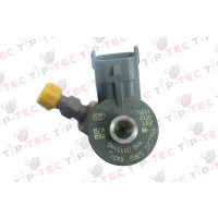 Einspritzdüse Injektor 0445110566 0445110565 Citroen Peugeot 1.6 HDi Blue HDi Bosch 9802776680