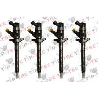4x Einspritzdüse Injektor BOSCH 0445110297 0445110281 Citroen Peugeot 1.6 HDi 16 09849580